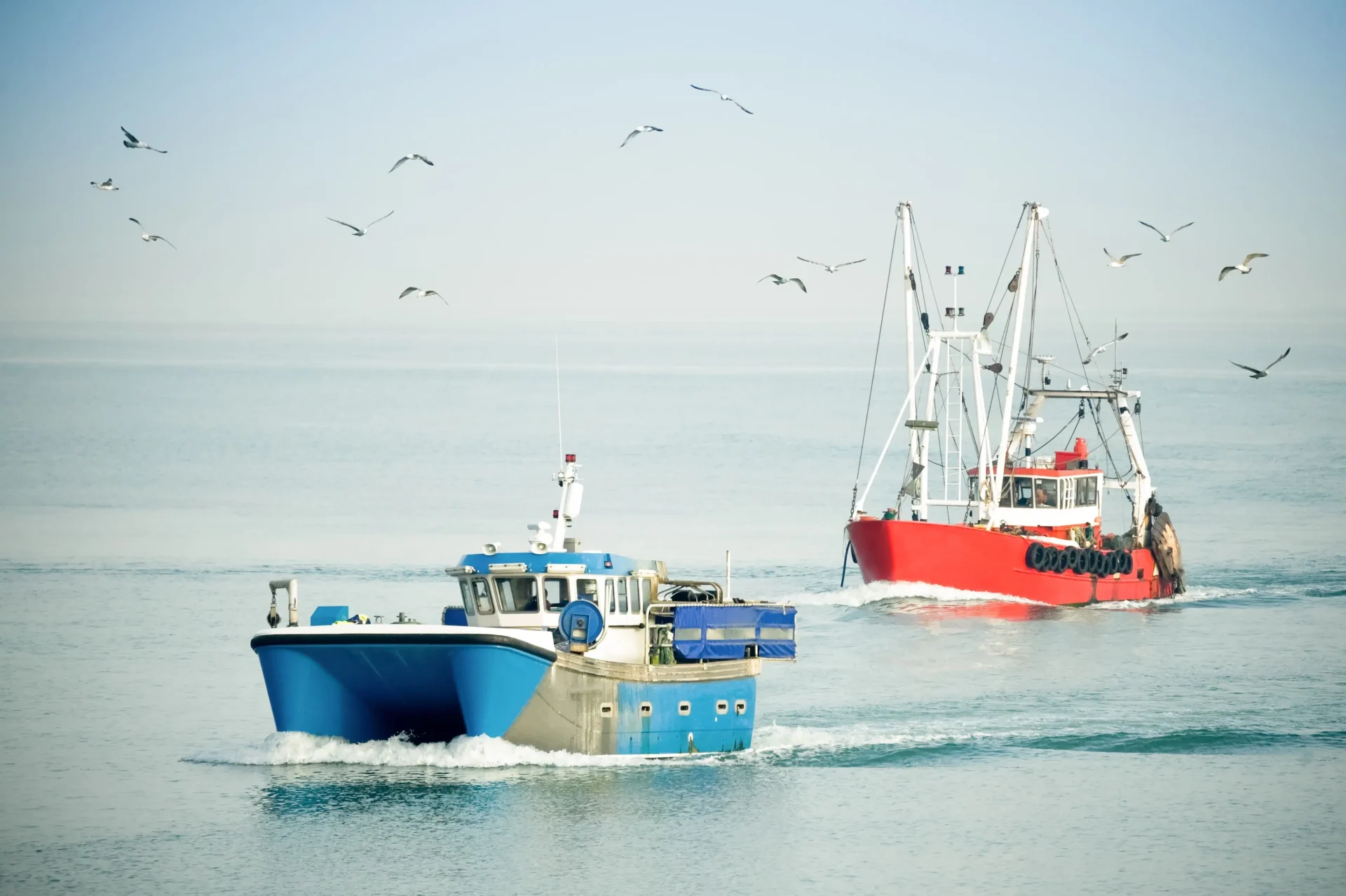 Fishing Industry